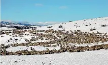  ?? PHOTO: GEORGE EMPSON ?? Snow storms and feeding out are all part of the winter routine for high country farmers.