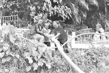  ??  ?? Wong (right) pulling out a tree during the clean-up of the Muslim cemetery at Sim Sim yesterday.