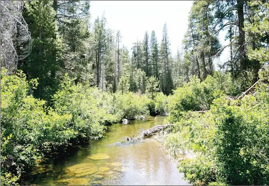  ??  ?? In this July 25, 2017 photo, the North Fork of Prosser Creek flows through the Lower Carpenter Valley near Truckee, California. (AP)