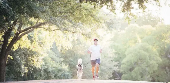  ?? NICK WIGNALL ?? Bryan Barrera, a marathoner and founder of D.C. Dog Runner, says dogs and people are both prone to going too fast, too far, too soon.