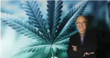  ?? KAREN LONGWELL/NORTHUMBER­LAND NEWS ?? Thomas Fairfull, founder and chief executive officer of FV Pharma Inc., secured a licence to legally grow medical marijuana on Friday.