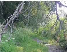  ?? FOTO: KREIS VIERSEN ?? Die Wasserstän­de vieler Gewässer sind zu niedrig, der Boden wird vielerorts zu trocken.