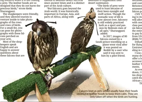  ??  ?? Falcons kept as pets would usually have their heads covered in leather hoods to keep them calm. They are only taken off when the birds are hunting.