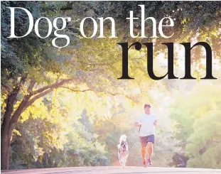  ?? NICK WIGNALL/THE WASHINGTON POST ?? Bryan Barrera, a marathoner and founder of D.C. Dog Runner, runs 40 dogs a week. He recommends a four-foot leash to avoid tripping over dog or leash. “The closer you can keep the dog, the more control you’ll have,” Barrera says.