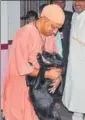  ?? HT PHOTO ?? CM Yogi Adityanath with his pet dog, in Gorakhpur.