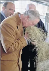  ?? Pictures: PA, REX ?? Hay there... the Prince enjoys a good sniff