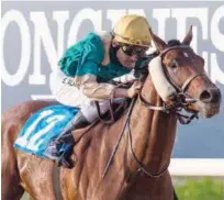  ??  ?? Bois De Boulogne, ridden by Saeed Al Mazrooei, races towards the finish line to win the Sheikh Hamdan Bin Rashid Al Maktoum Cup race.