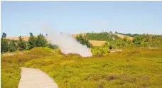  ?? Photos / Anna Sarjeant ?? Craters of the Moon Thermal Walkway features great gashes of steaming thermal activity.