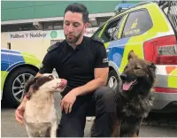  ??  ?? Police dogs Monty and Rula with their handler PC Ryan Llewellyn at the Royal Welsh Show last year.