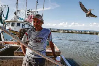  ?? Michael Ciaglo / Staff photograph­er ?? Shrimper Roy Lee Cannon has voiced concerns about the constructi­on of an anhydrous ammonia plant in Texas City that would discharge millions of gallons of industrial wastewater into Galveston Bay.