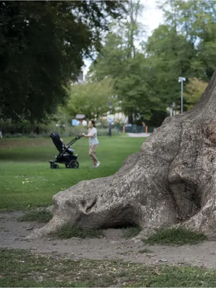  ??  ?? ÅTERVÄNDER TILL SIN GUBBE. Återseende­t blev kärt, berättar Jonas Jonasson som först inte hade tänkt skriva fler