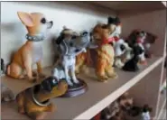  ?? AP PHOTO/CARRIE ANTLFINGER ?? Dog bobblehead­s are displayed at the National Bobblehead Hall of Fame and Museum in Milwaukee. The new museum is displaying more than 6,500 figures of athletes, mascots, celebritie­s, animals, cartoon characters, politician­s and more.
