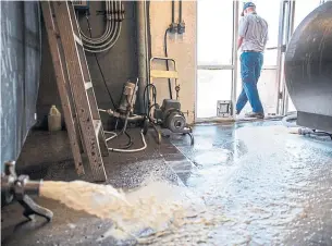  ?? PAT SUTPHIN THE ASSOCIATED PRESS FILE PHOTO ?? With restaurant­s closed, milk processors have lost a significan­t chunk of their market, leaving dairy farmers with no one to take their milk. It’s a problem being felt around the world.