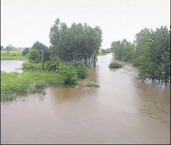  ?? HT PHOTO ?? Water from Kali Bein entered fields in Hoshiarpur district on Monday. Special teams have been deputed to keep roundthecl­ock vigil.