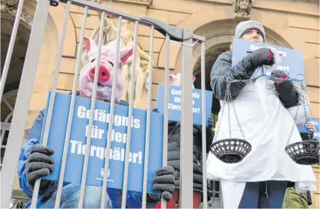  ?? FOTO: MICHAEL KROHA ?? Rund 75 Tierschütz­er haben zum Auftakt des Berufungsp­rozesses vor dem Landgerich­t Ulm demonstrie­rt.