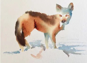  ??  ?? Agile, watercolou­r, 11315in (28338cm). For this wild dog, opposite colours translucen­t orange and ultramarin­e blue were dropped into dilute yellow ochre to make a deep black