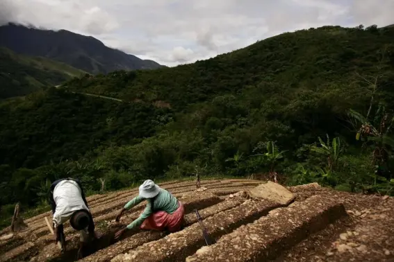  ?? (Getty) ?? Farmers on modest sites are using innovative ways to reduce greenhouse gases