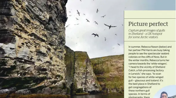  ??  ?? Above: the cliffs of Noss are over a kilometre long and are home to thousands of seabirds in summer.