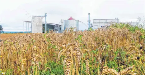  ?? FOTO: ARCHIV ?? Rettenmaie­r und Söhne überlegt, die Produktion der JRS Holzenergi­e in Neunheim nach Rosenberg zu verlegen.