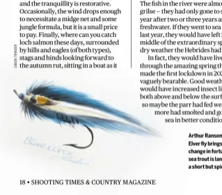  ?? ?? Arthur Ransome’s Blue Elver fly brings about a change in fortunes as a sea trout is landed after a short but spirited fight