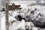  ?? MIKE STEWART — THE ASSOCIATED PRESS ?? Heavy snow weighs down shrubs in front of a home, Saturday in Kennesaw, Ga.