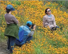  ??  ?? Des milliers de curieux ont piétiné les coquelicot­s de ce parc californie­n.