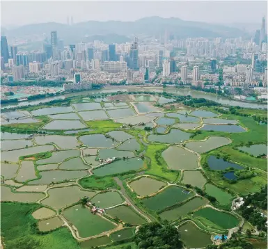  ?? Photo: May Tse ?? Landowners have frequently complained about unfairness in the current system used to determine the value of resumed land.