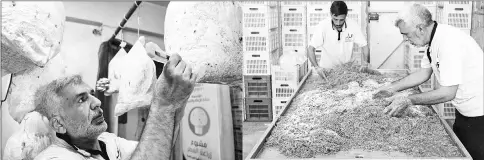  ??  ?? (Left) A Syrian member of the Adala Foundation, a local NGO, cuts plastic bags with mushroom seeds at a make-shift cultivatio­n centre in Douma. • (Right) Syrian members of the Adala Foundation, a local NGO, spray straw with gypsum at a make-shift...