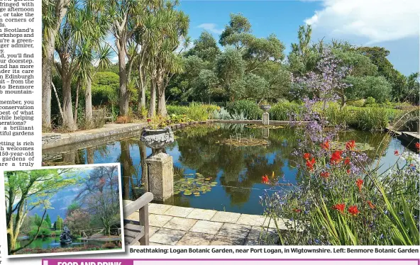  ??  ?? Breathtaki­ng: Logan Botanic Garden, near Port Logan, in Wigtownshi­re. Left: Benmore Botanic Garden