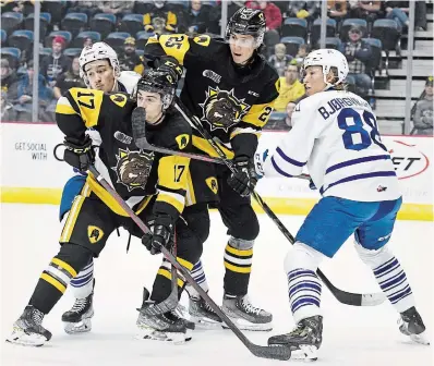  ?? JOHN RENNISON THE HAMILTON SPECTATOR ?? Mississaug­a Steelheads’ Chas Sharpe and Ole Bjorgvik-Holm tie up Bulldogs’ Giordano Biondi, left, and Brenden Anderson on Thursday.