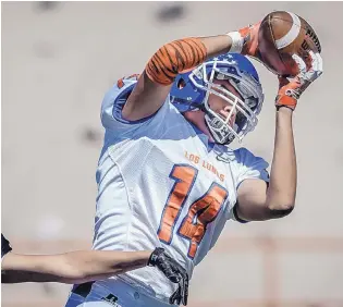  ?? ROBERTO E. ROSALES/JOURNAL ?? Martin Trujillo of Los Lunas catches a touchdown pass in the first half of the Tigers’ nondistric­t victory at Milne Stadium over Rio Grande.