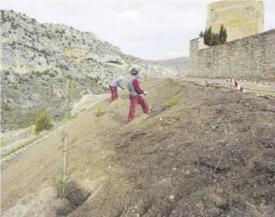  ?? FUNDACIÓN SANTA MARÍA ?? Dos trabajador­es plantan especies vegetales en el talud de tierra que recubre los escombros antes visibles.