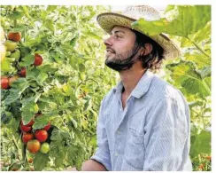  ?? Maraicheur Le ?? Antoine Debray dans son jardin auprès de ses tomates.