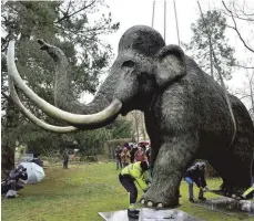  ?? FOTO: MARTIN SCHUTT ?? Vorerst bleibt es bei Nachbildun­gen: Mammutskul­ptur im Park des Kunsthause­s Meyenburg in Nordhausen/Thüringen.