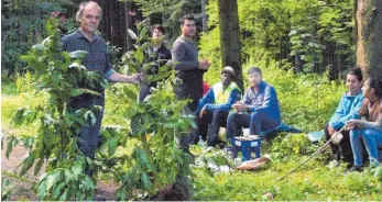  ?? FOTO: PRIVAT ?? Im Wald bei Grünkraut hat das Team um Claus Scheuber ( Foto) diese zwei Exemplare des Springkrau­ts gefunden.