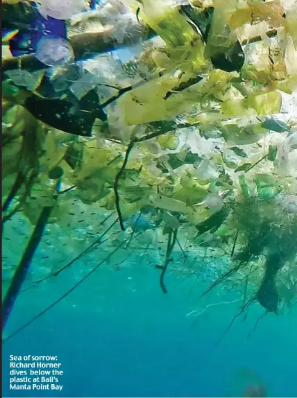  ??  ?? Sea of sorrow: Richard Horner dives below the plastic at Bali’s Manta Point Bay