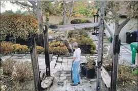  ?? Kent Nishimura Los Angeles Times ?? A 45-YEAR resident of Porter Ranch who did not want to be identified waters his charred garden after the Saddleridg­e fire tore through the community.