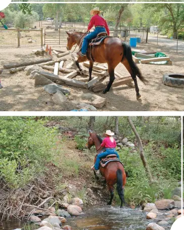  ??  ?? Create “deadfalls” using logs or railroad
ties (top), gradually making the step- overs
higher and more complicate­d. Hill work
(below) should include both up and down
slopes; don’t let your horse rush.