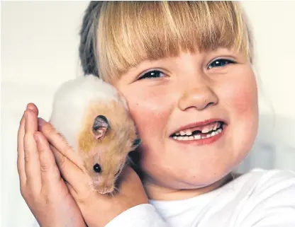  ?? Picture: Gareth Jennings. ?? Lily the hamster is reunited with Becca after going missing into the pipes and brickwork of the toilet of her family’s Craigie flat in Dundee.