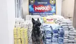  ??  ?? Narcotics dog Odin poses with seized drugs.