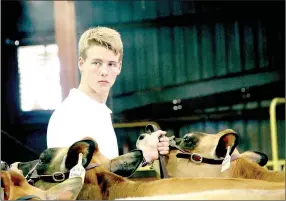  ?? LYNN KUTTER ENTERPRISE-LEADER ?? Conner Hill, a senior at Farmington High School, watches as judges evaluate jersey cows in the junior championsh­ip at the Washington County Fair last week.