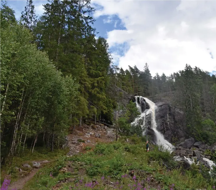  ??  ?? Älgafallet, eller Elgåfossen som den heter på norska, utgör en riksgräns och ligger mellan svenska Vassbotten och norska Holtet. Här vandrar besökare som vanligt obehindrat mellan gränserna men gränstrakt­en har ändå märkt av den norska gränspolit­iken, där forsen numera skiljer boende på varsin sida om forsen, snarare än förenar dem.