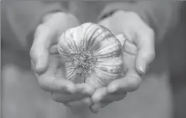  ?? TAY JNR, GETTY IMAGES ?? Twenty-one years after Dad’s death, you’d think the garlic would give up already, like that other stalwart — rhubarb — did a decade ago. It hasn’t.