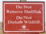  ??  ?? 海濱掛著「不准撈捕貝殼，不要打擾野生動物」警告牌。