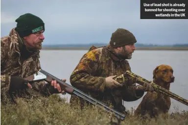  ??  ?? use of lead shot is already banned for shooting over wetlands in the uk