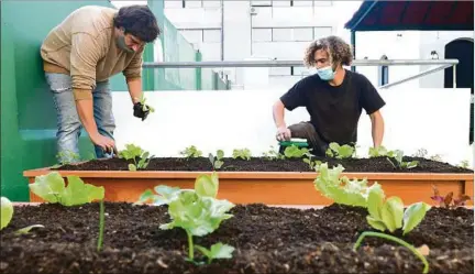  ??  ?? AMBIENTAL. Desde que comenzó junio y los días que aún restan del mes, se emiten en redes sociales del IMPO y en su pantalla gigante, contenidos de temas medioambie­ntales, como informació­n sobre los días nacionales e internacio­nales más destacados, otros de las Áreas Protegidas de Uruguay y sobre las especies de aves en riesgo de extinción en Uruguay.