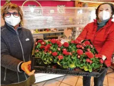  ?? Foto: Bernhard Weizenegge­r ?? In den Blumenstad­el von Brigitte Miller (links) in Ichenhause­n kommt Stammkundi­n Brunhilde Schmid an diesem Montagvorm­ittag, um Blumen für eine Grabbepfla­nzung zu kaufen.