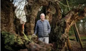  ?? ?? Ted Green, photograph­ed in Windsor Great Park next to the ancient King Offa's oak, which is thought to be over 1,000 years old. Photograph: Alicia Canter/The Guardian