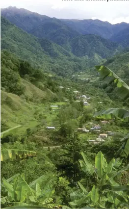  ??  ?? TIERRA DE ABUNDANCIA. Los primeros conquistad­ores creyeron que otro “El Dorado” pudiera hallarse cerca de la Cordillera de Talamanca, en Costa Rica.En la imagen, una plantación de bananas en la localidad costarrice­nse de San Gerardo.