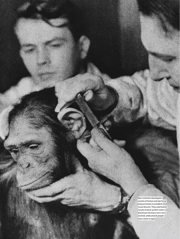  ??  ?? Nazi scientists developed a system of human and ape facial measuremen­ts to establish racial descent. They used biased results to back up their claims that Aryan Germans were more evolved, while Jewish people were closer to apes